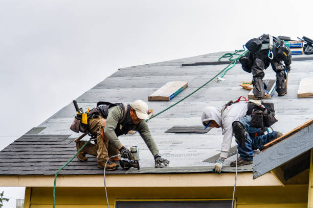 Professional Gutter Installation technician working in Seguin, TX